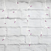 70 M5 Purple LED Icicle Lights, White Wire [CLOSEOUT]