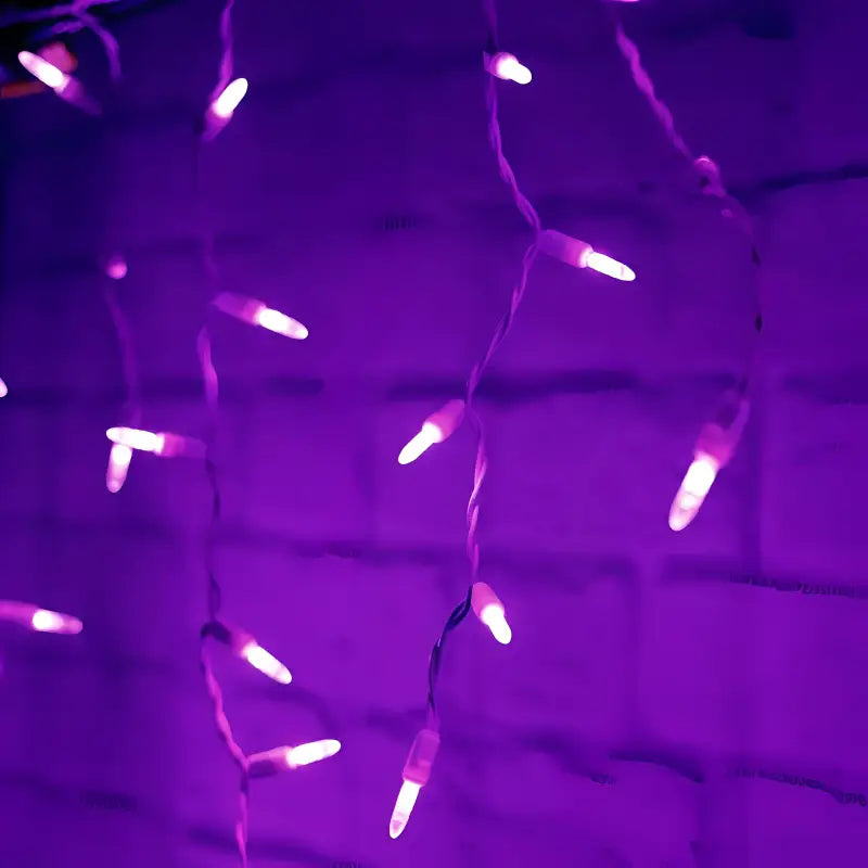 70 M5 Purple LED Icicle Lights, White Wire [CLOSEOUT]