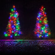 Walkway Pre-Lit Winchester Fir Tree, 30/45cm