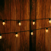 25 C7 Warm White LED Christmas Lights, 8" Spacing, Green Wire [CLOSEOUT]
