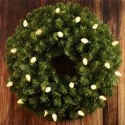 25 C7 Warm White LED Christmas Lights, 8" Spacing, Green Wire [CLOSEOUT]