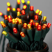 50 5mm ColorCraft® Harvest - Red, Orange, and Gold LED Christmas Lights, 6" Spacing, Green Wire
