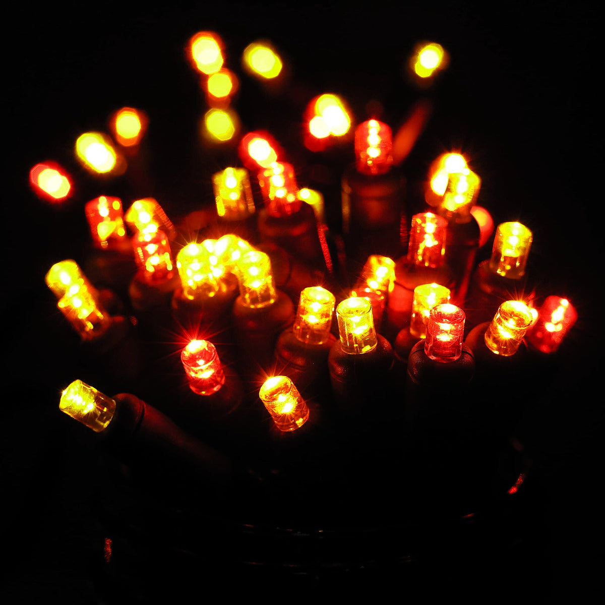 50 5mm ColorCraft® Harvest - Red, Orange, and Gold LED Christmas Lights, 6" Spacing, Green Wire
