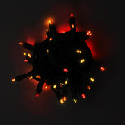 50 5mm ColorCraft® Harvest - Red, Orange, and Gold LED Christmas Lights, 6" Spacing, Green Wire
