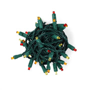 50 5mm ColorCraft® Harvest - Red, Orange, and Gold LED Christmas Lights, 6" Spacing, Green Wire